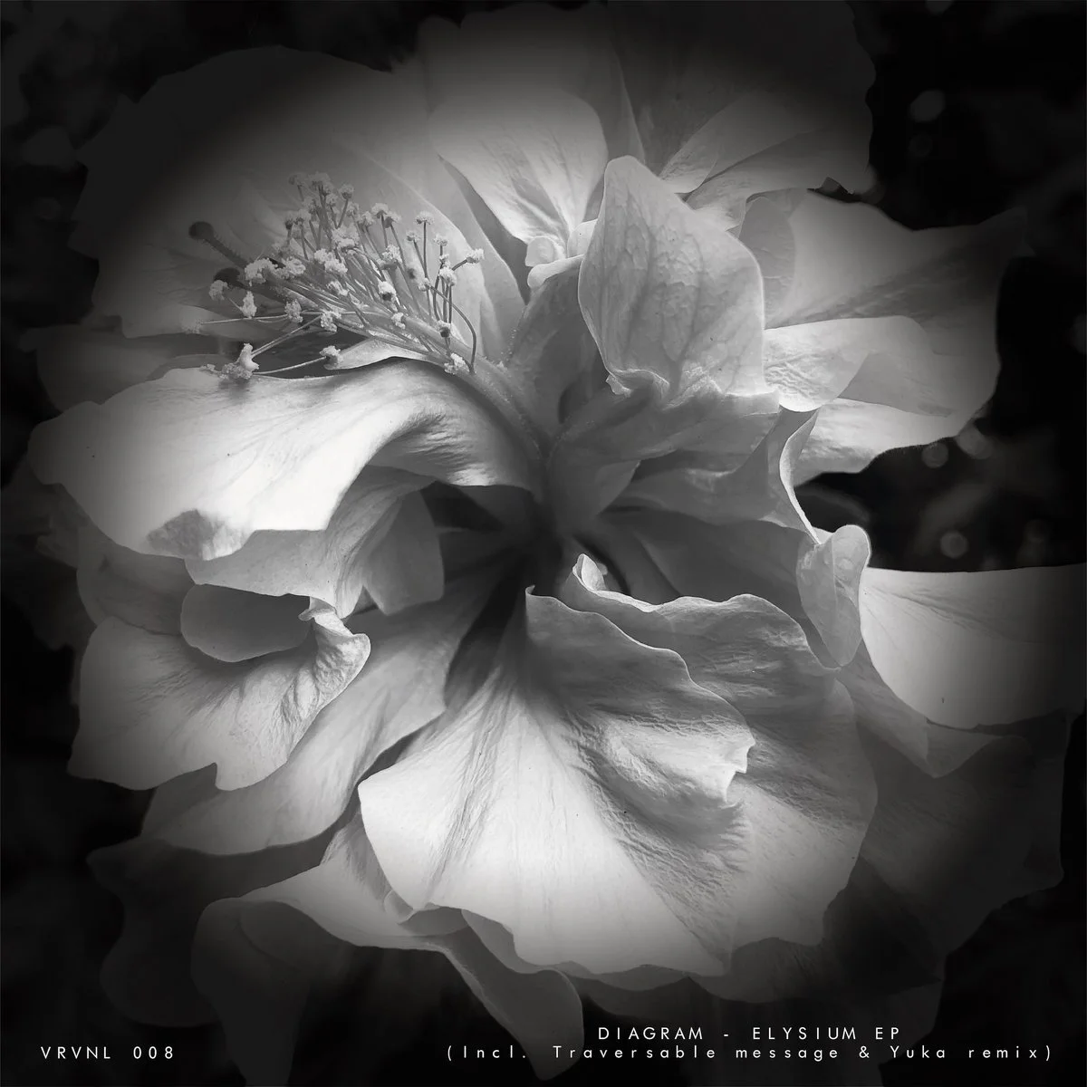 Diagram - Elysium [Virescence Records]