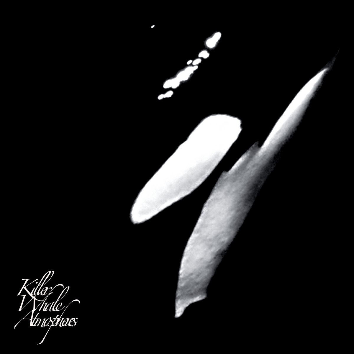 Rainforest Spiritual Enslavement</a> - Killer Whale Atmospheres [Hospital Productions]