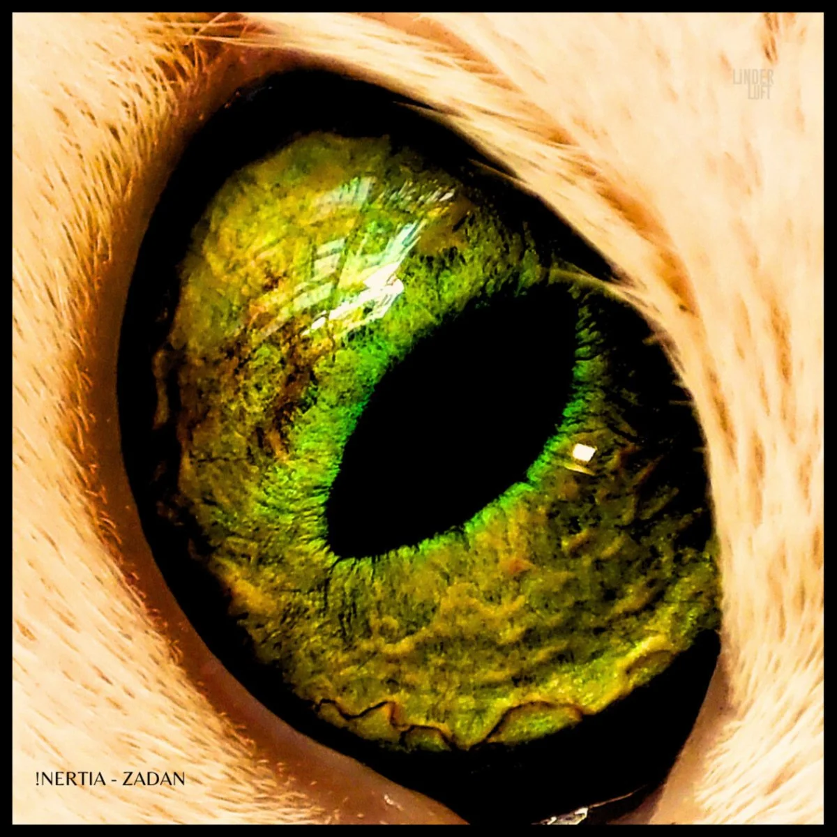 !nertia - Zadan [Linderluft Records]