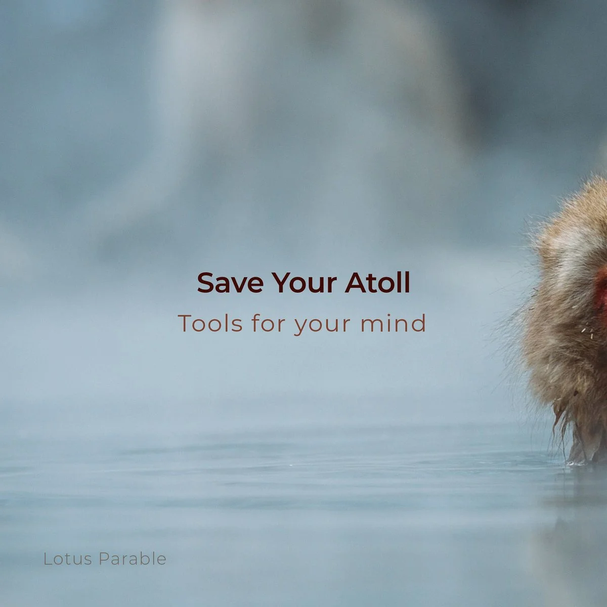 Save Your Atoll - Tools For Your Mind [Lotus Parable]