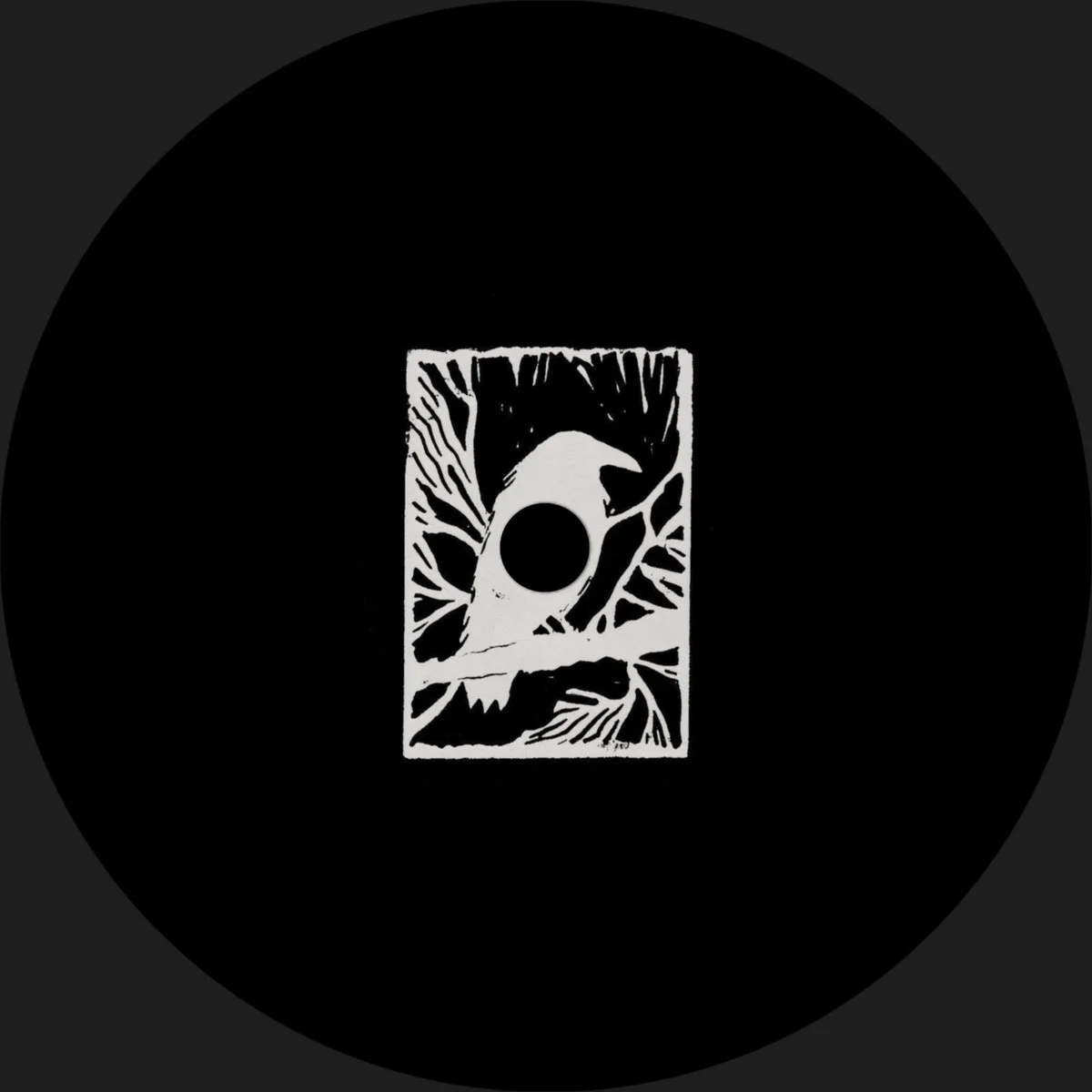 AXOON - Corvus EP [Not On Label]