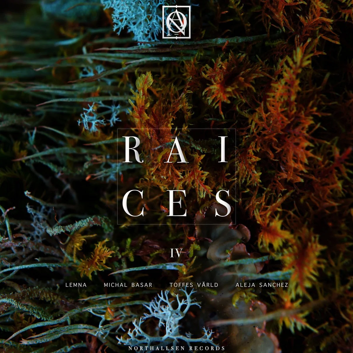 V/A - Raices IV [Northallsen Records]