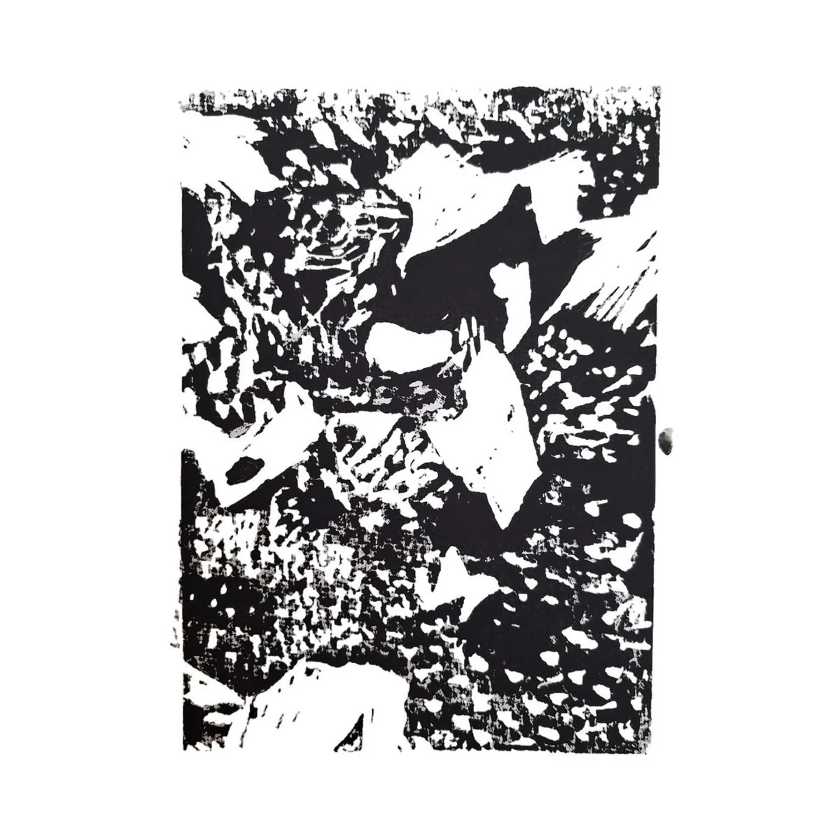 Tom Drew - Skill Will Last [Frequencia Introspectiva]