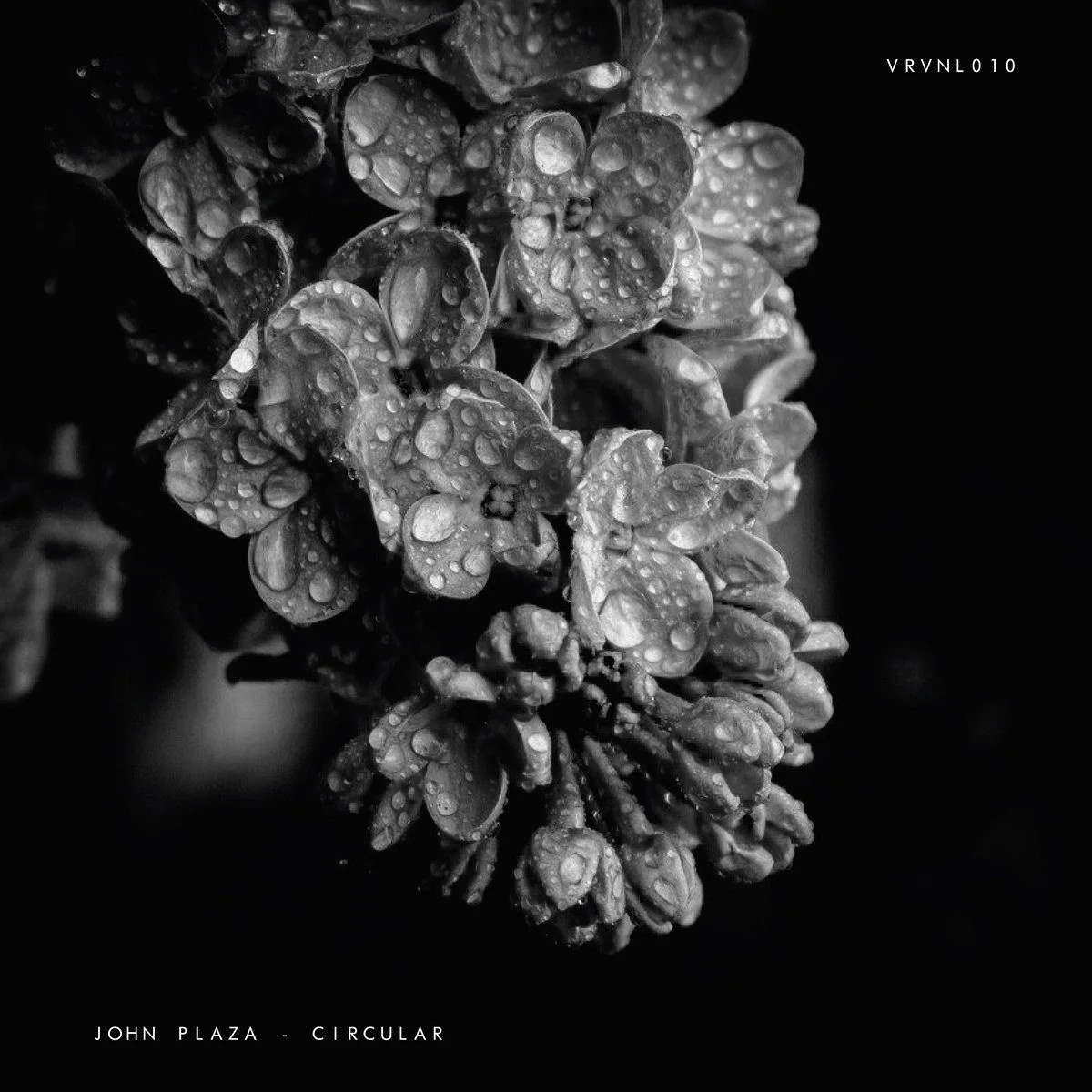 John Plaza - Circular [Virescence Records]