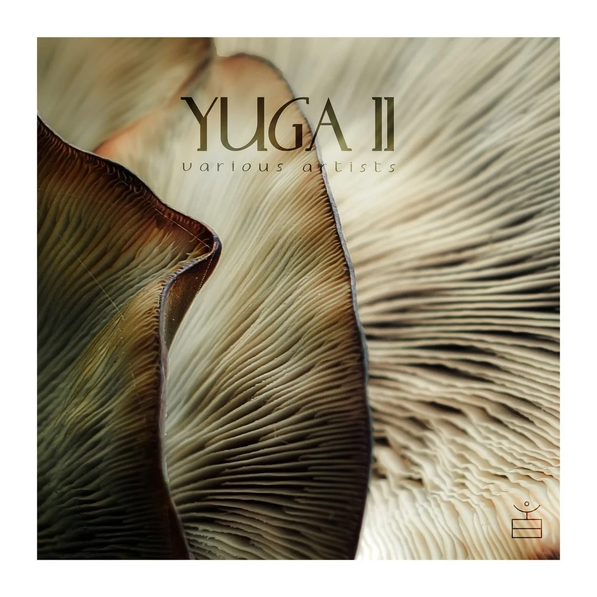 V/A - Yuga II [Lāsya]