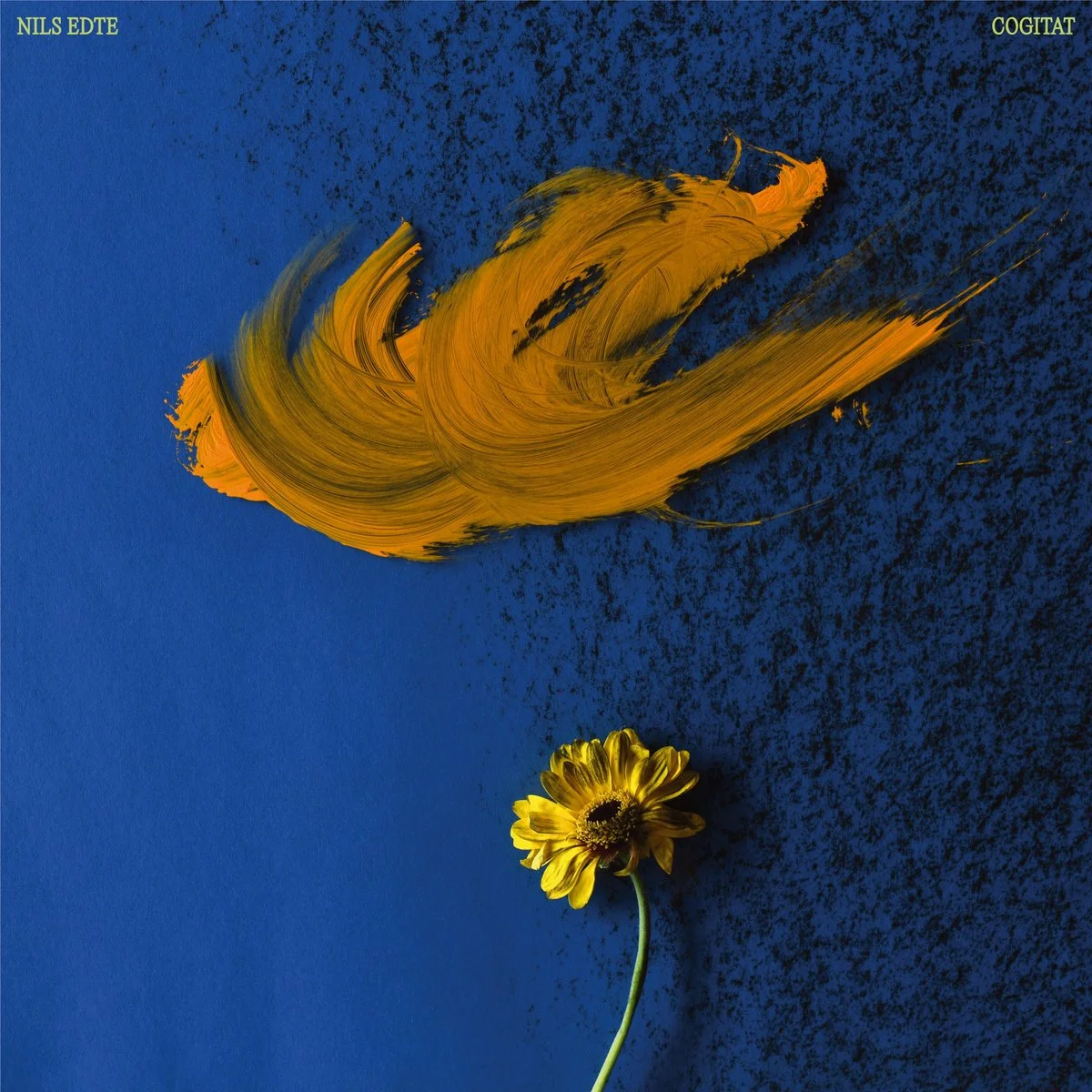 Nils Edte - Cogitat [Predawn Records]