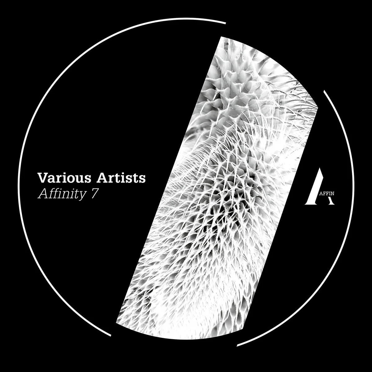 V/A - Affinity 7 [Affin Serial]