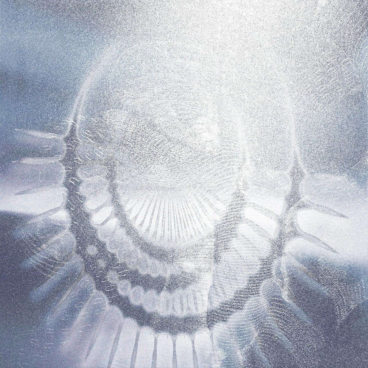 V/A - Soft Core [area127]