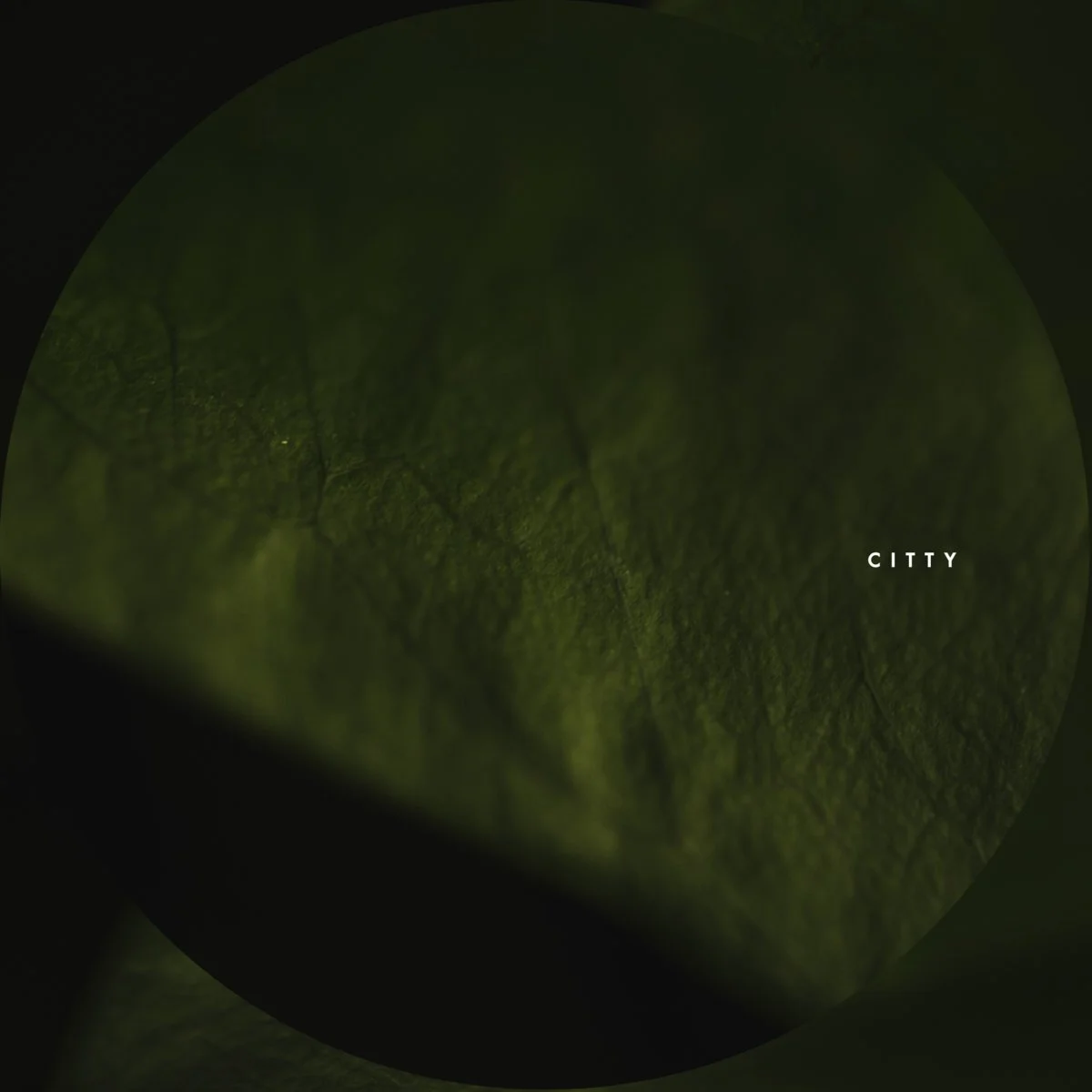 Citty - Brain Braker [Circular Limited]