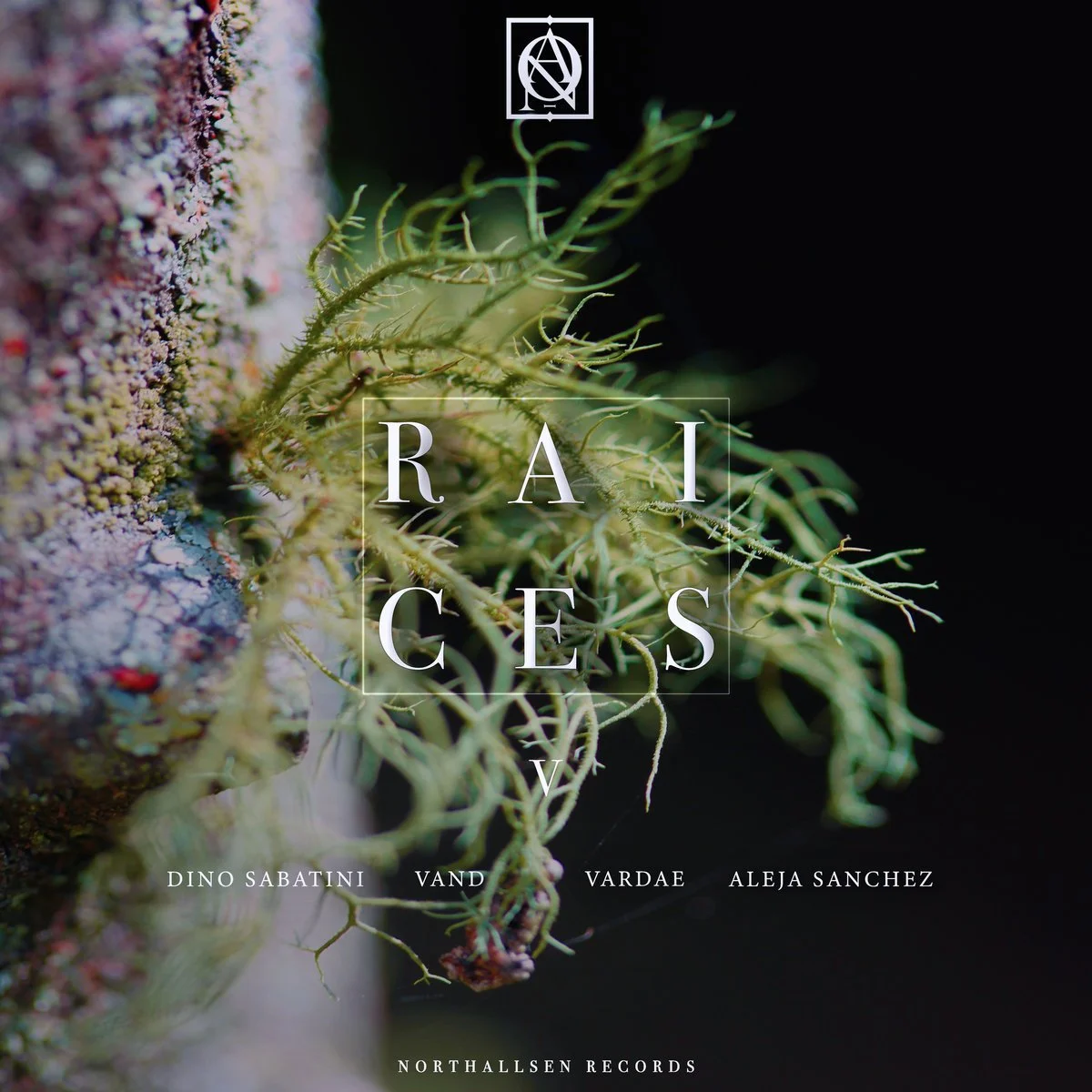 Dino Sabatini - Luz de Piedra