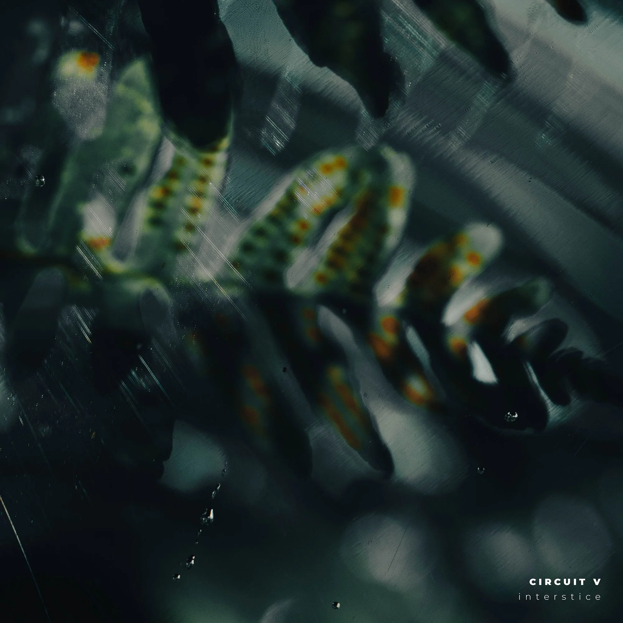 Circuit V - Astral World (Ancestral Landscapes Remix)