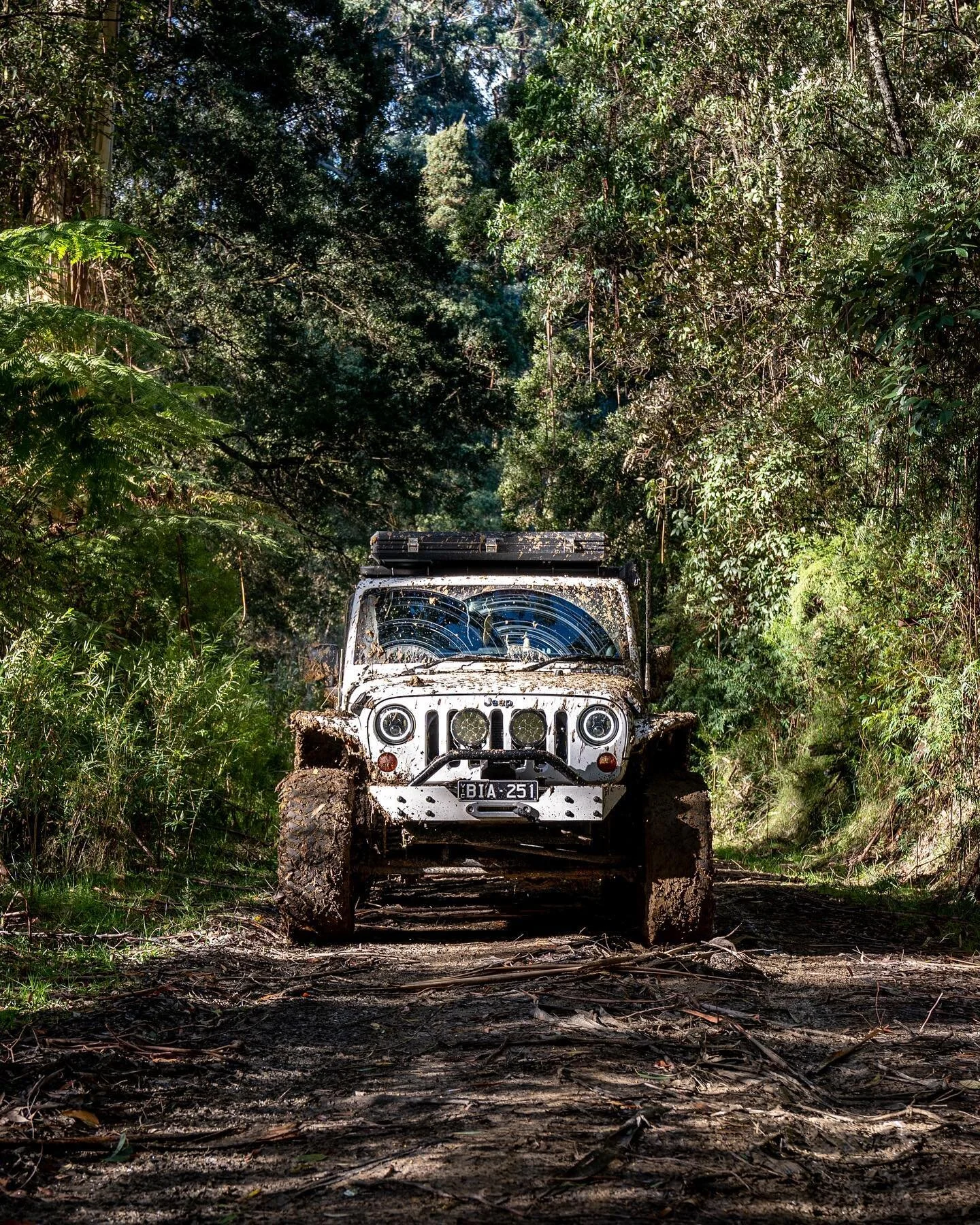 We got lost in the Otways 🍃 

Awesome little weekend away with the boys @helloikee @bowie_joseph sitting around the fire, cooking up food and talking all things life. Always plenty of laughs and good conversations. 

#parksvictoria #jeepaustralia #h