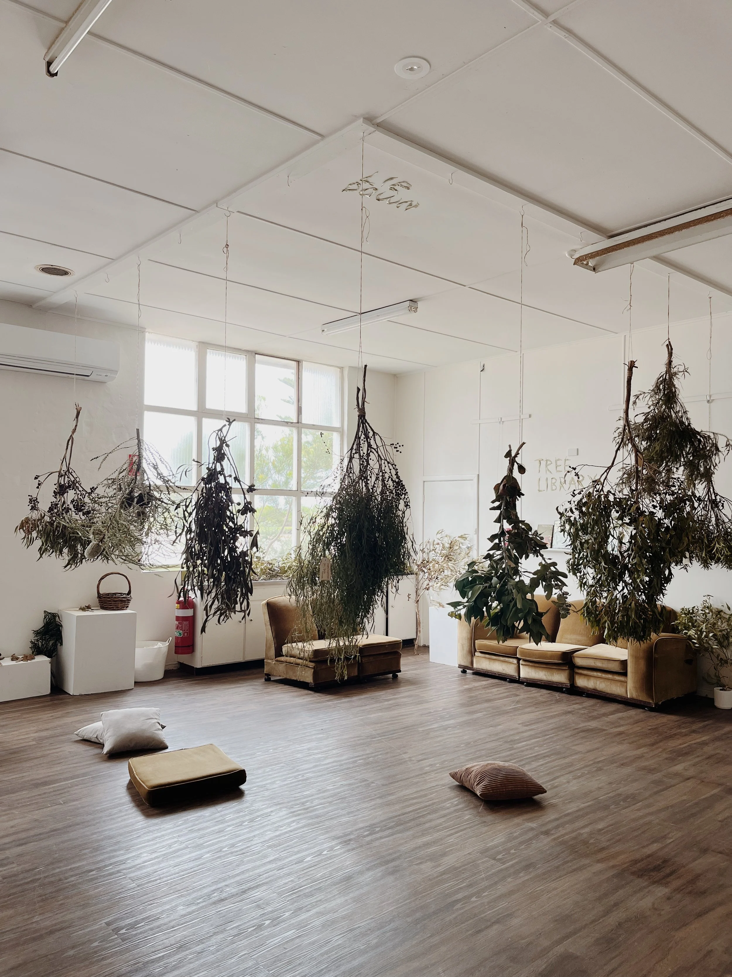 Tree Listening Installation at Cannery Arts Centre