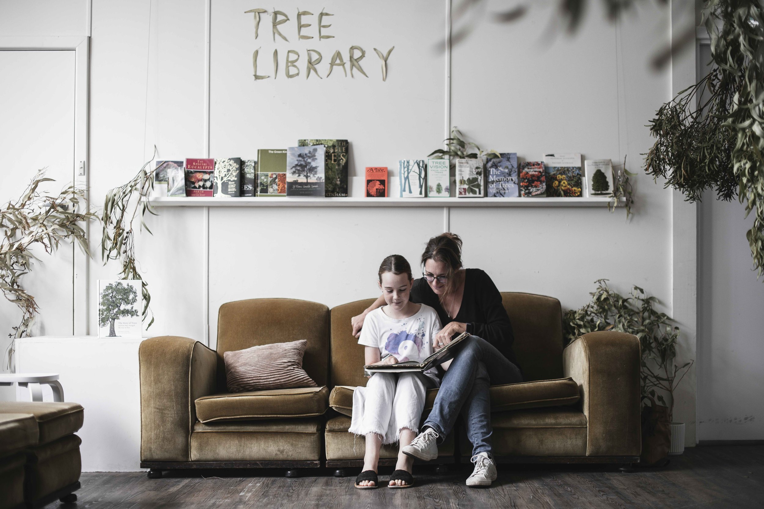 Tree Listening Installation at Cannery Arts Centre. Photography by Dan Paris.