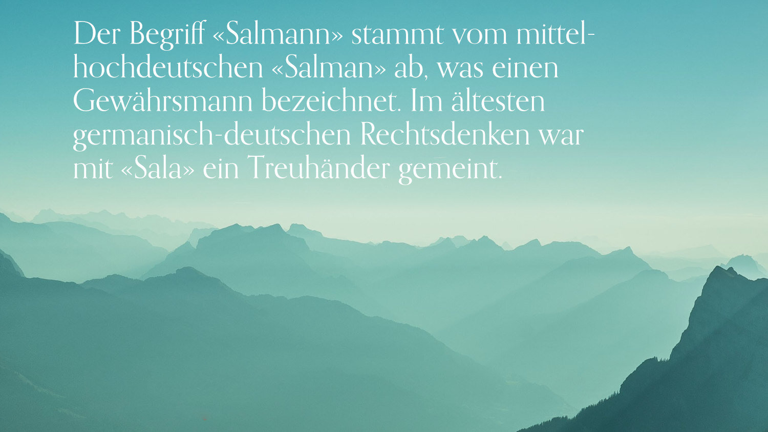 Salmann-Image-Begriff.jpg