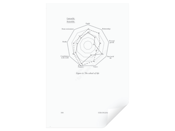 Wheel of life exercise download from Changing Gear book by Jon Stokes & Jan Hall