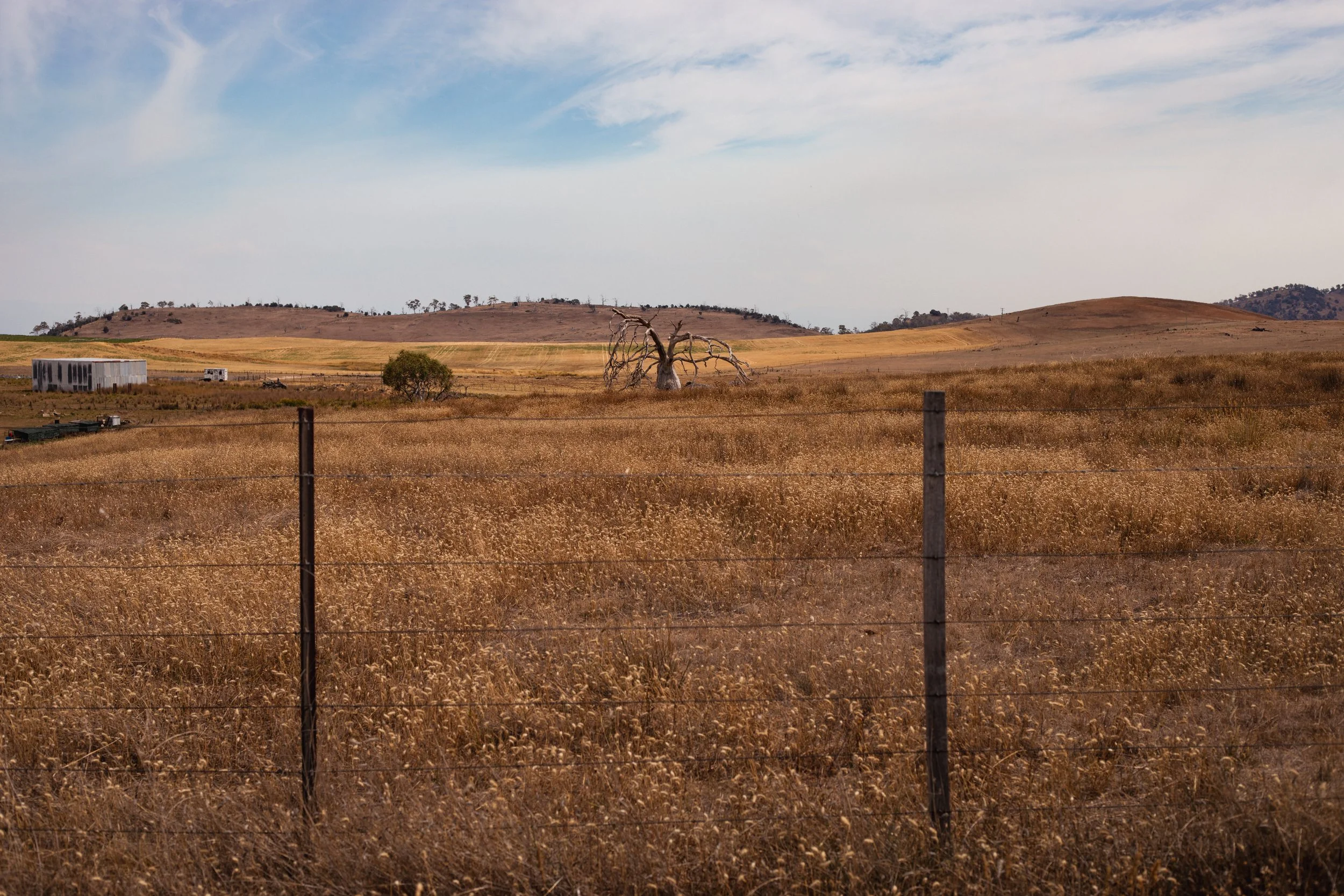 TASSIE-5 (1).jpg