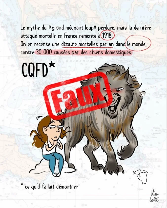 loup3.JPG
