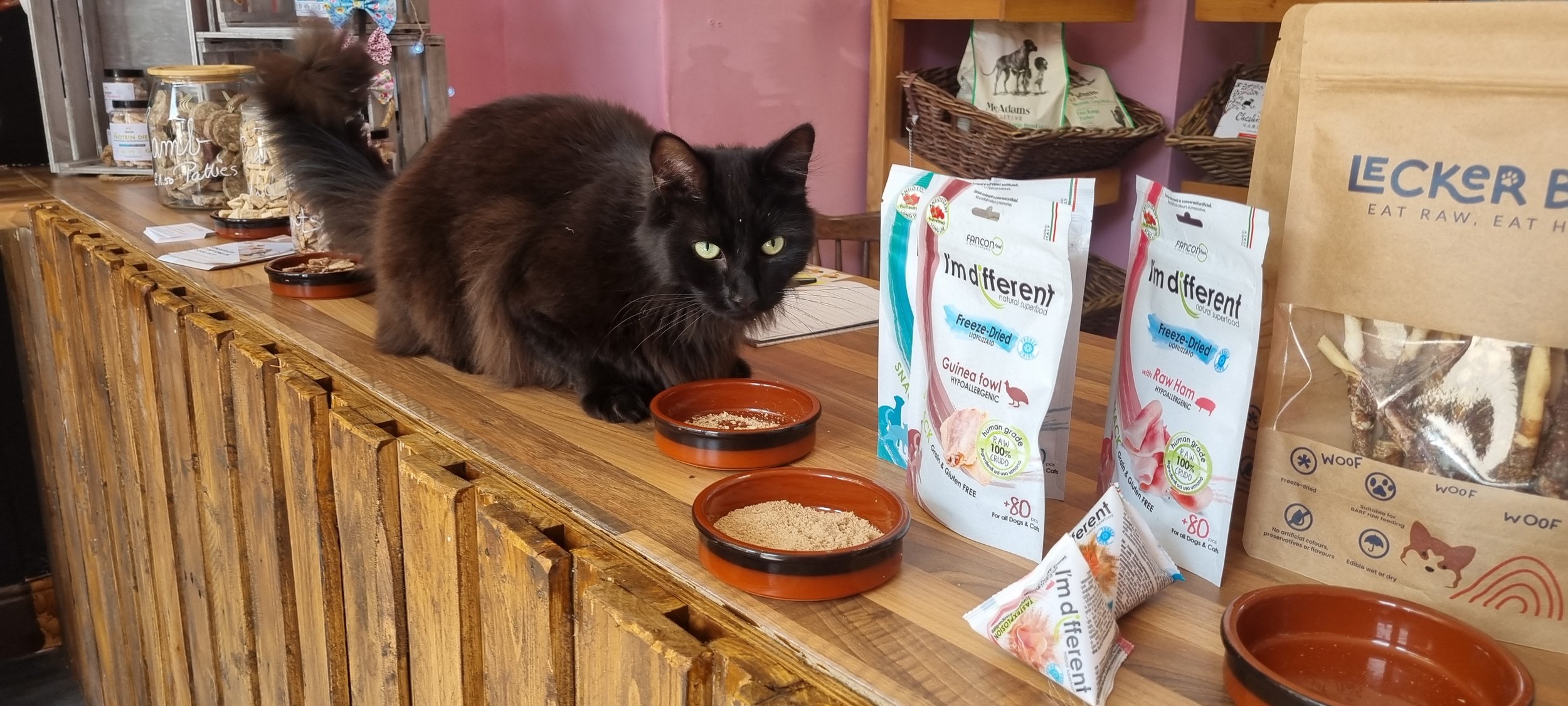 cat & im different2.jpg