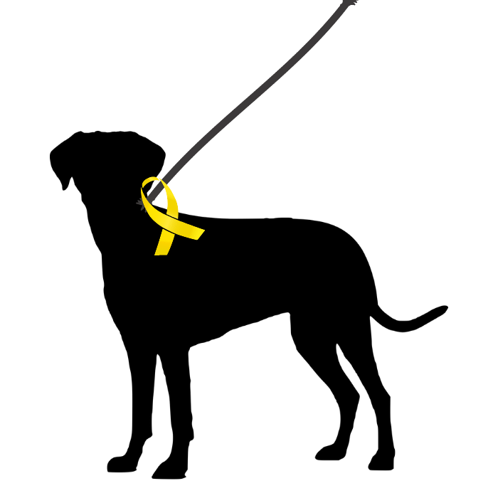 What Does a Yellow Ribbon on a Dog Mean? — Lecker Bites