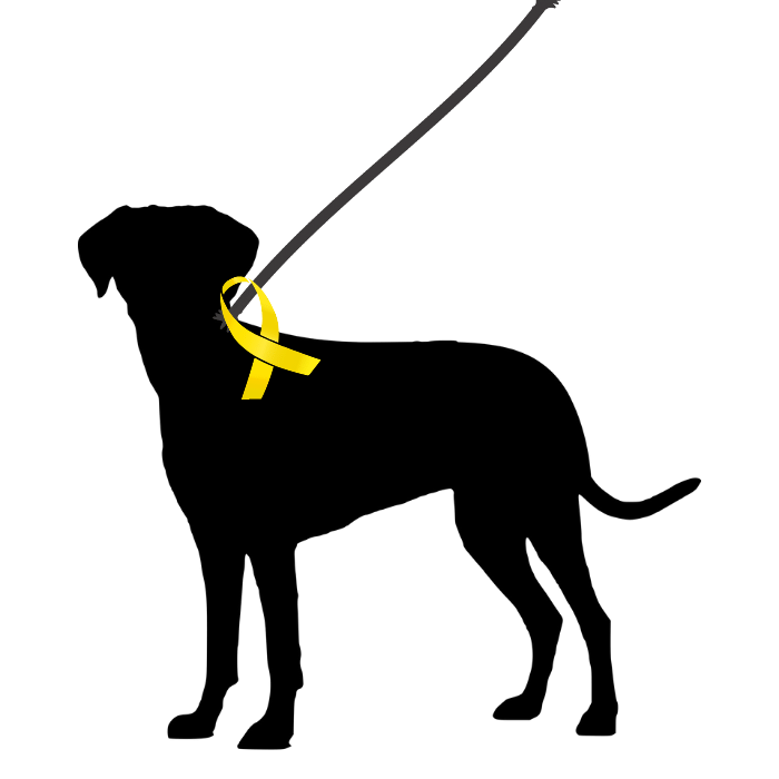 What Does a Yellow Ribbon on a Dog Mean?