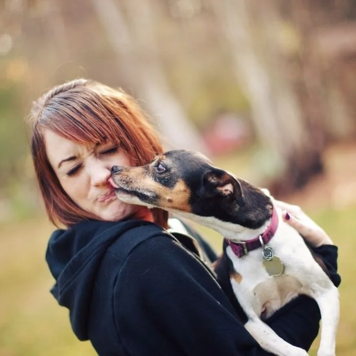 Why Does My Dog Lick Me Then Bite Me