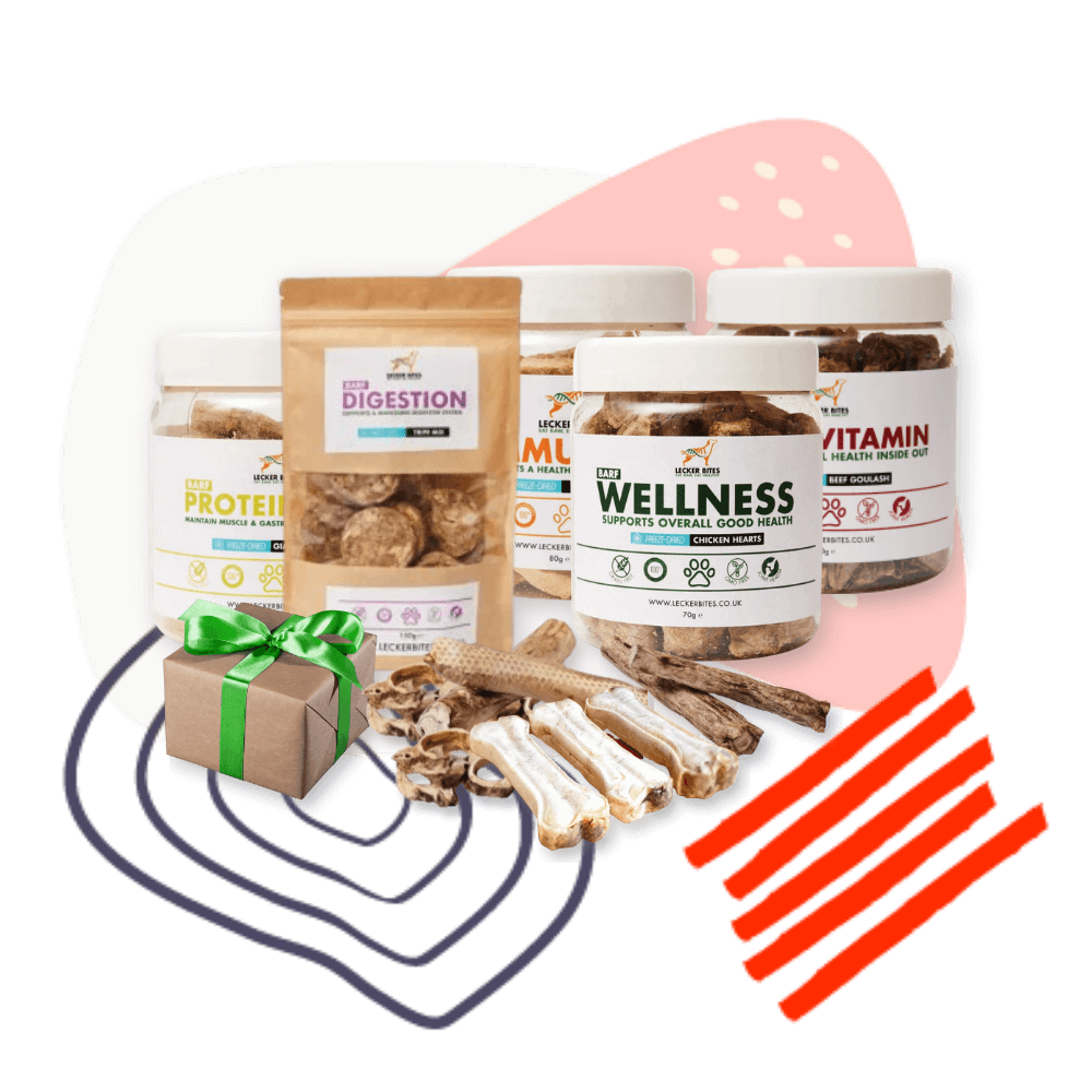 Freeze Dried Raw Dog Food Selection Pack Lecker Bites