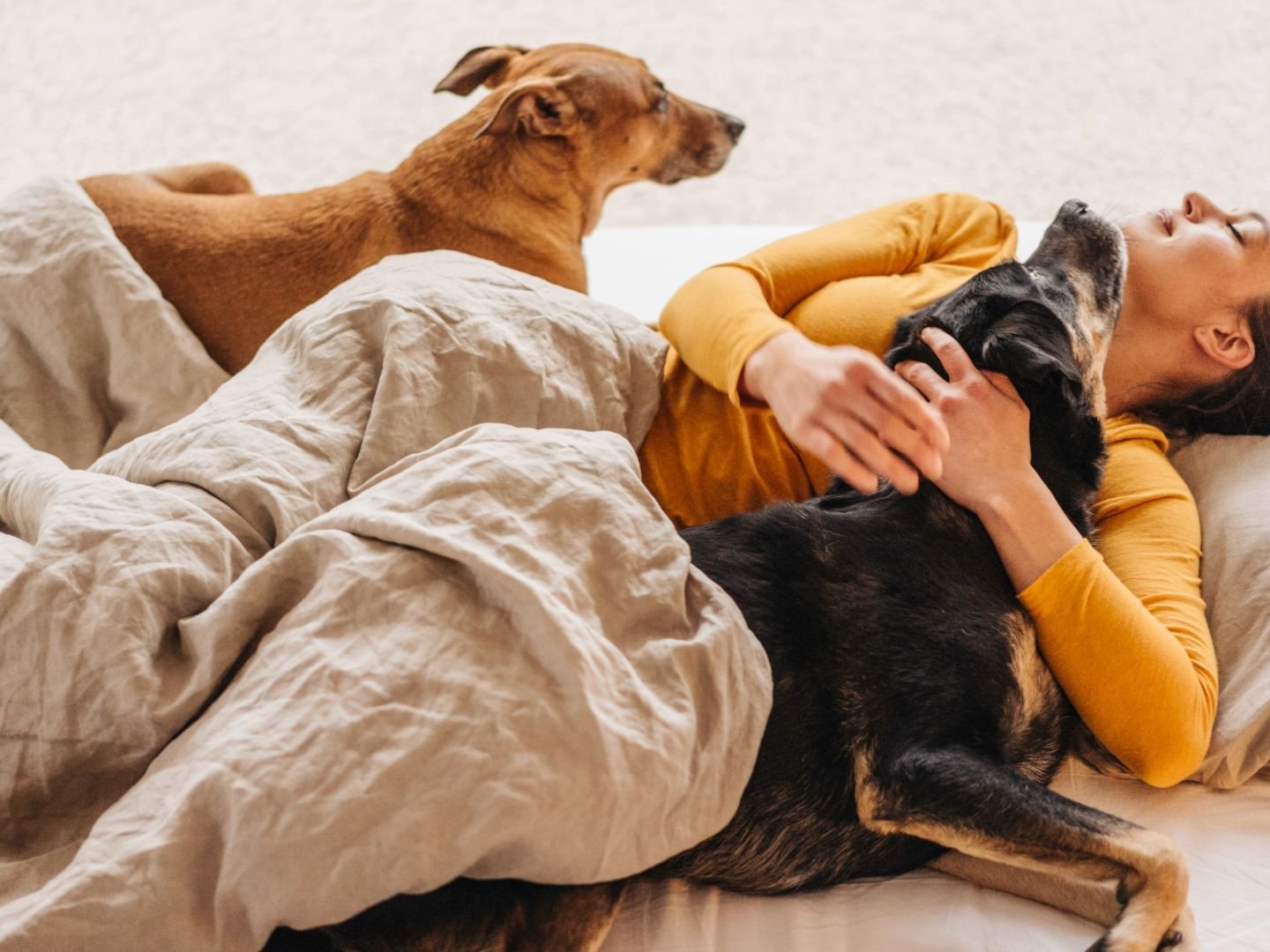 What Your Pet's Sleeping Position Says About Them