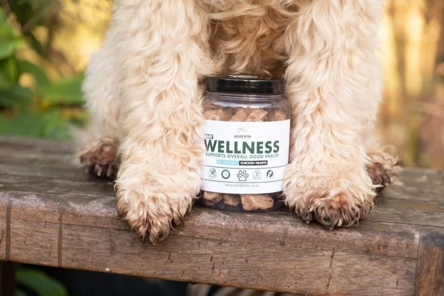 Can dogs eat organ meats? Lecker Bites — Lecker Bites