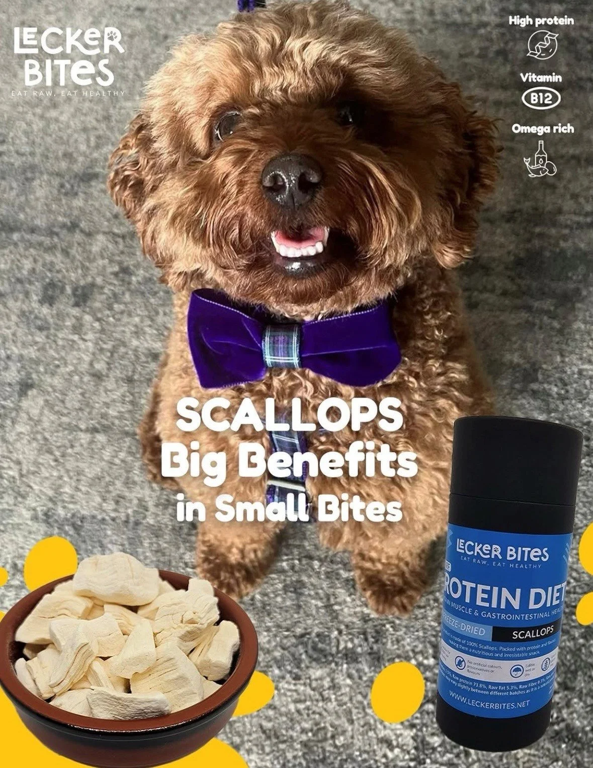 Dog enjoying freeze-dried scallop novel protein treat