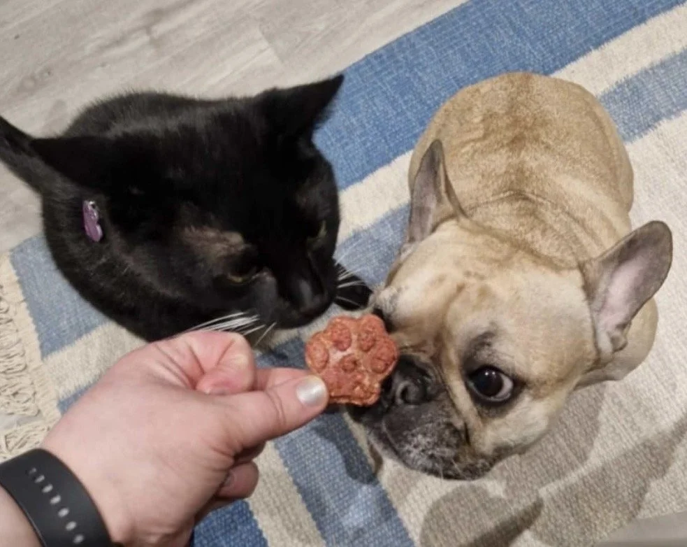 dog and cat treats