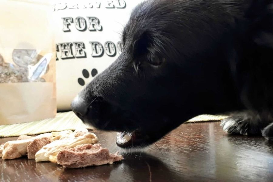 The benefits of freeze-dried raw dog food — Lecker Bites