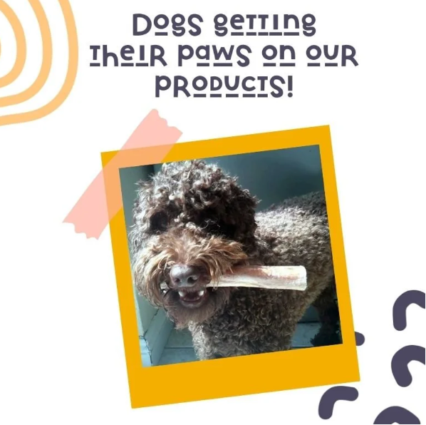 Variety pack of natural dog chews in a tube, healthy dental care snacks, mix of long-lasting chews