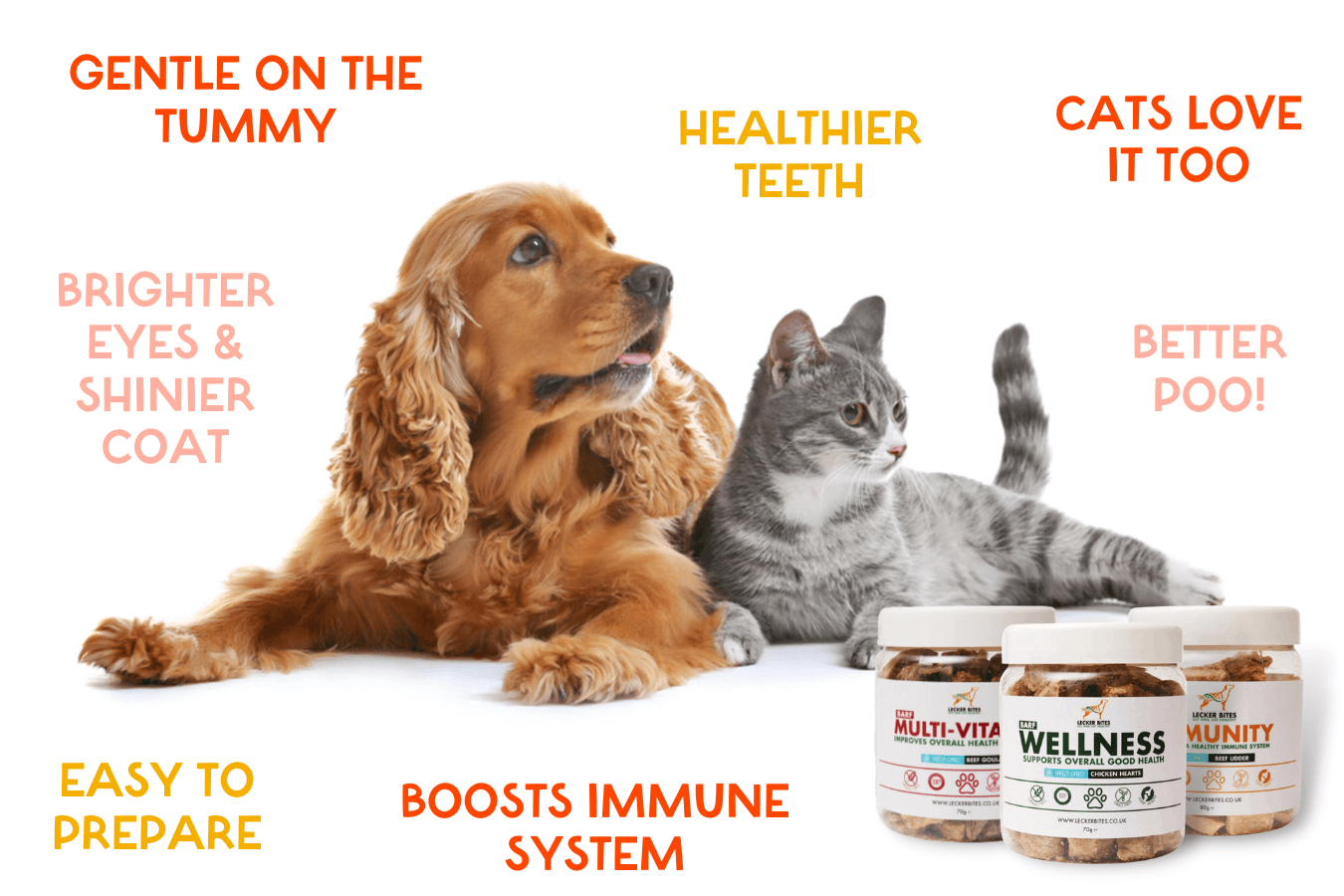 Freeze Dried Raw Dog Food | For a healthy, happy dog!