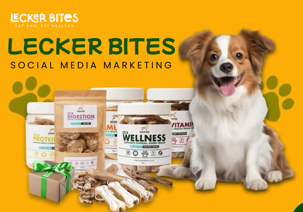 Healthy taste box for dogs or cats with a variety of natural treats and chews, grain-free starter kit for puppies and adult dogs, 100% natural snack sampler