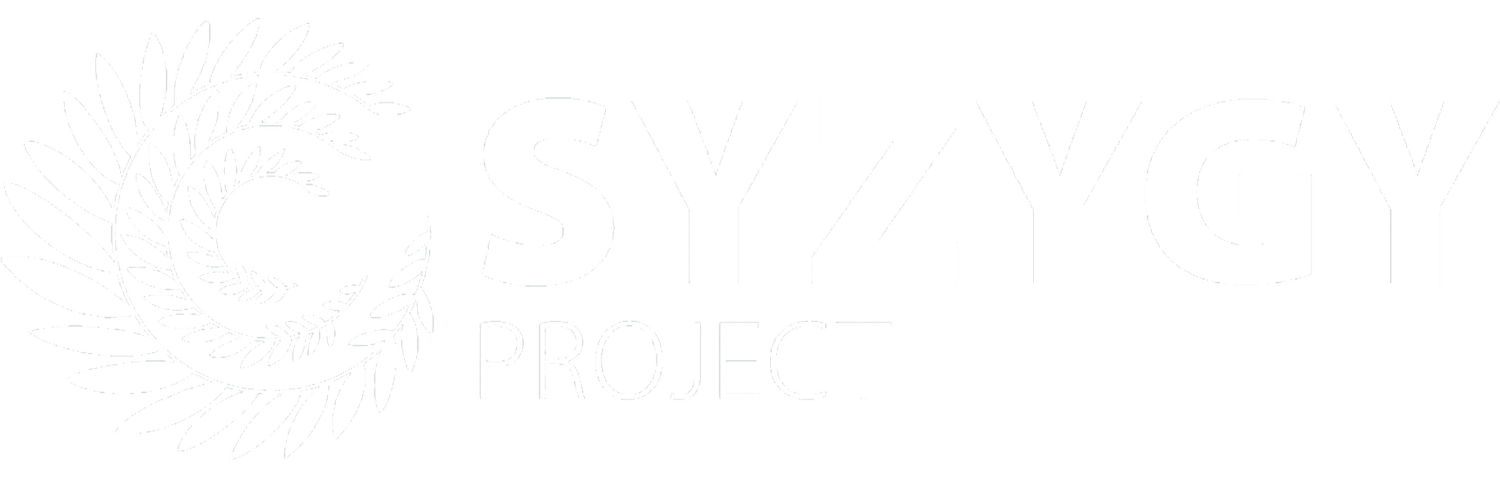 The Syzygy Project 
