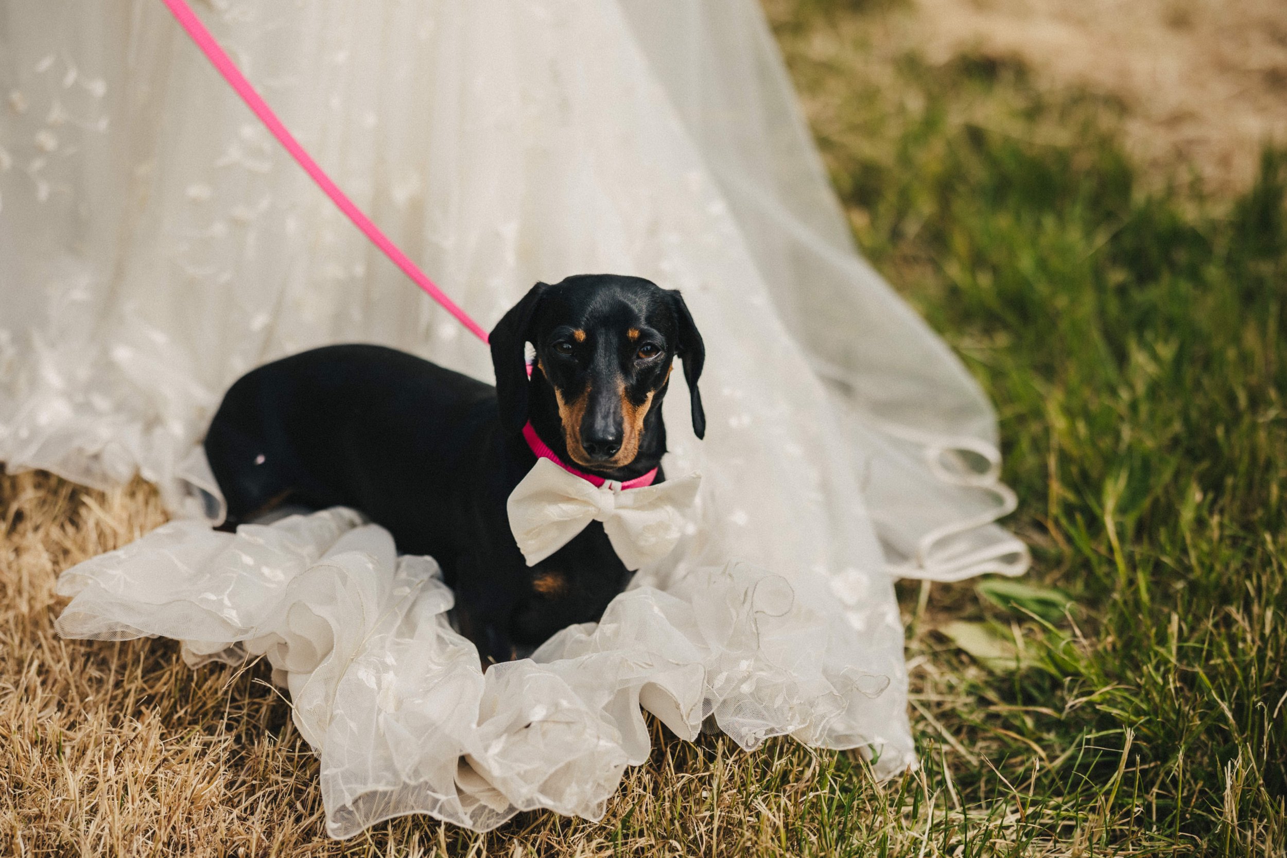 Sarah & Alex previews (Claire Penn Photography)-035.jpg