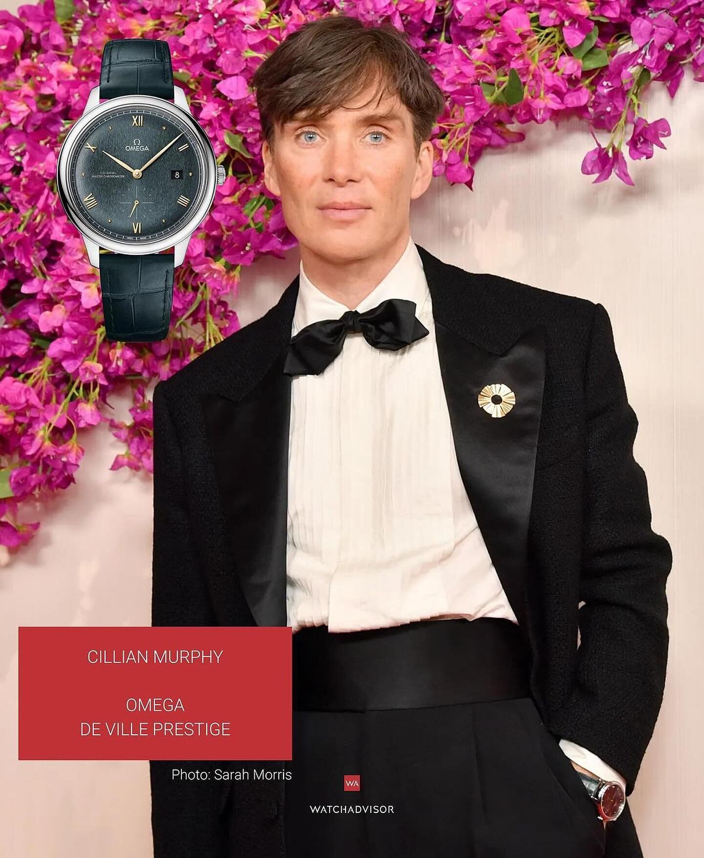 @watchadvisor Exclusive Review of the Watches Worn at the 96th Academy Awards! ✨

Captivating audiences worldwide, the Oscars dazzled with more than just red carpet glamour. Explore the stunning watches adorning celebrities&rsquo; wrists at the Oscar