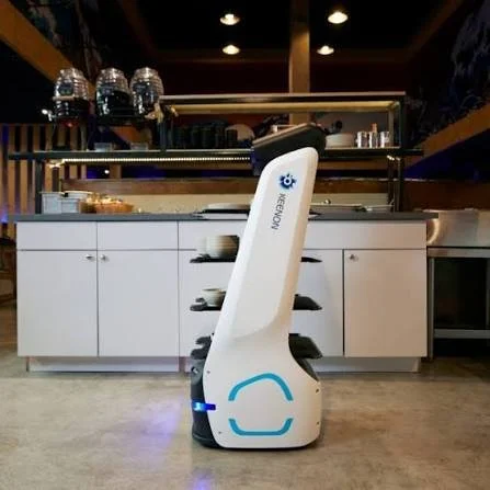 T9 Robot 4.jpg