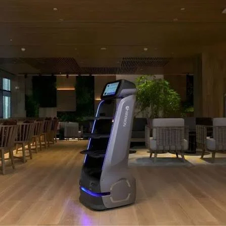 T9 Robot 3.jpg