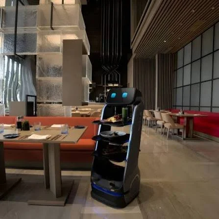 T9 Robot 2.jpg