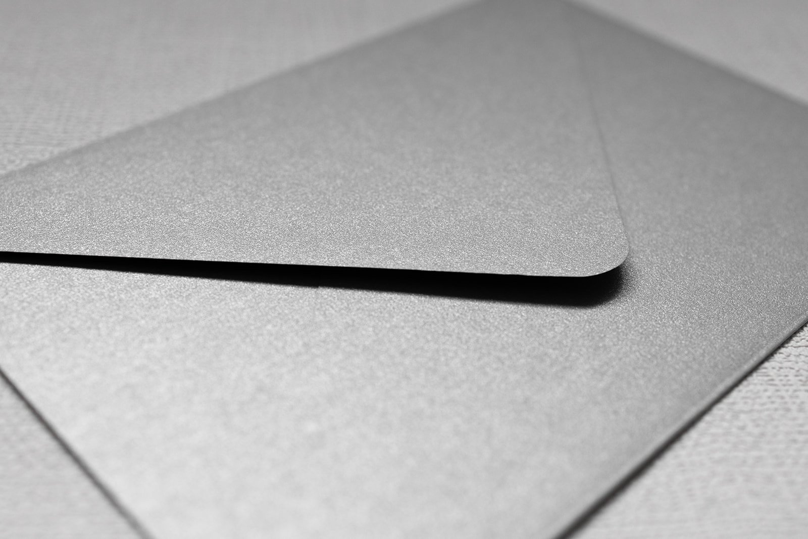 Minimalist-Luxe-botanical-wedding-invitation_env-03.jpg
