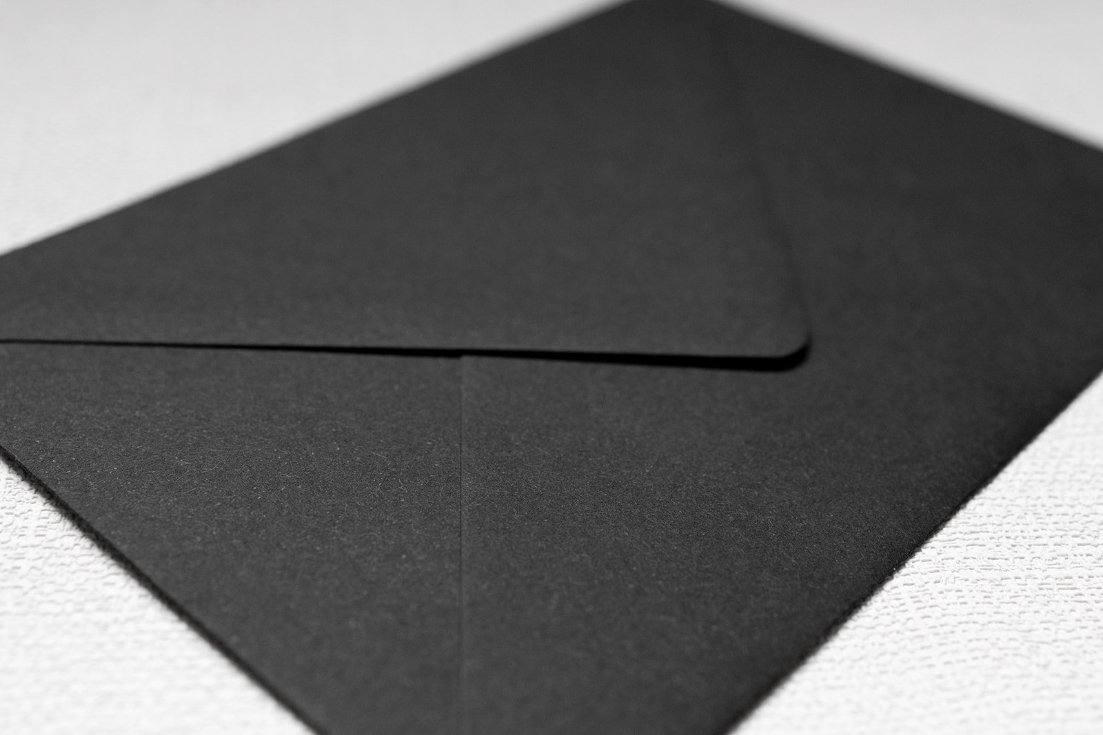 Minimalist-Luxe-botanical-wedding-invitation_env-04.jpg