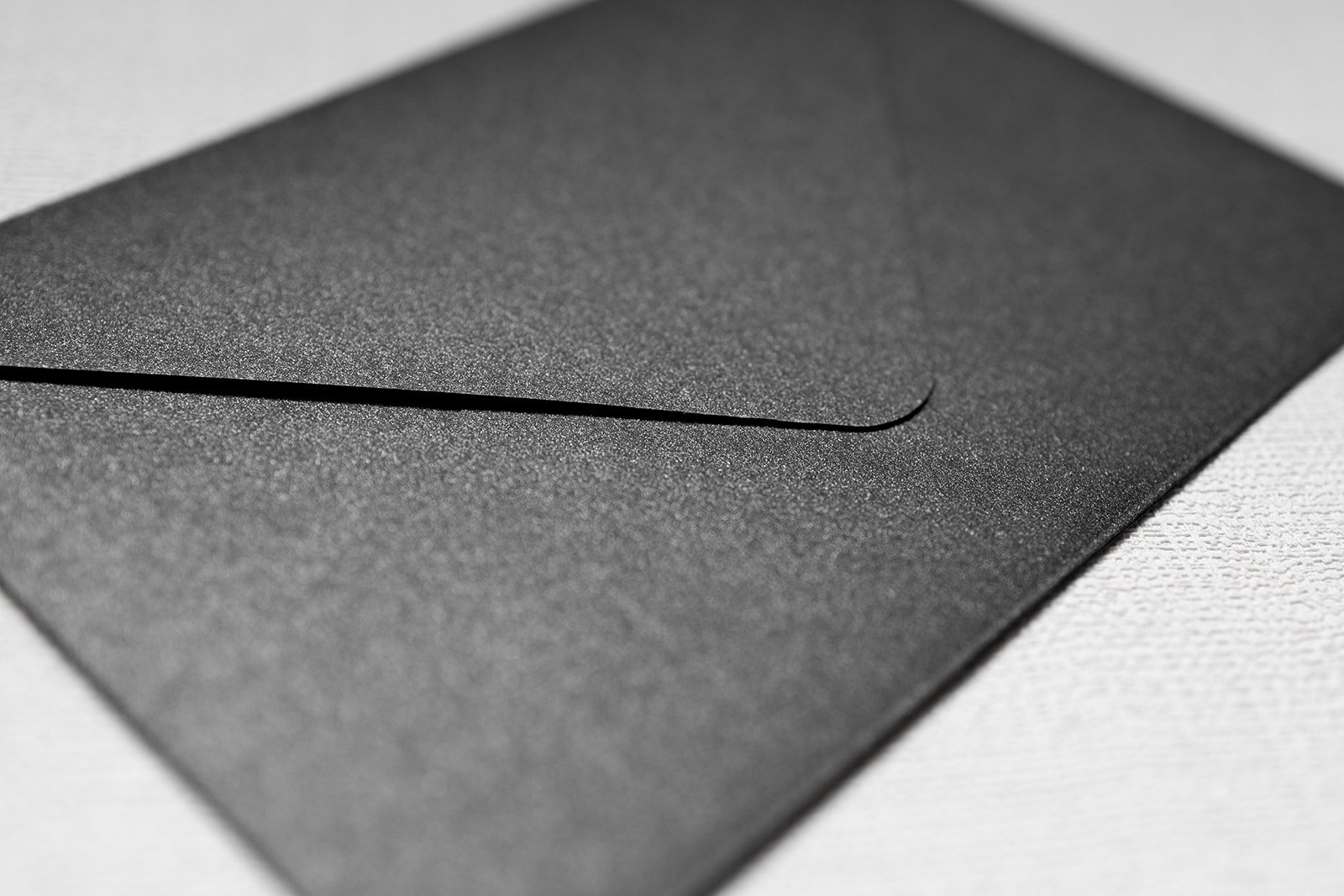 Minimalist-Luxe-botanical-wedding-invitation_env-02.jpg