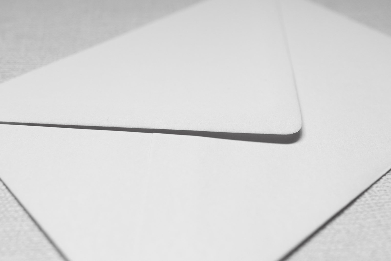 Minimalist-Luxe-botanical-wedding-invitation_env-05.jpg