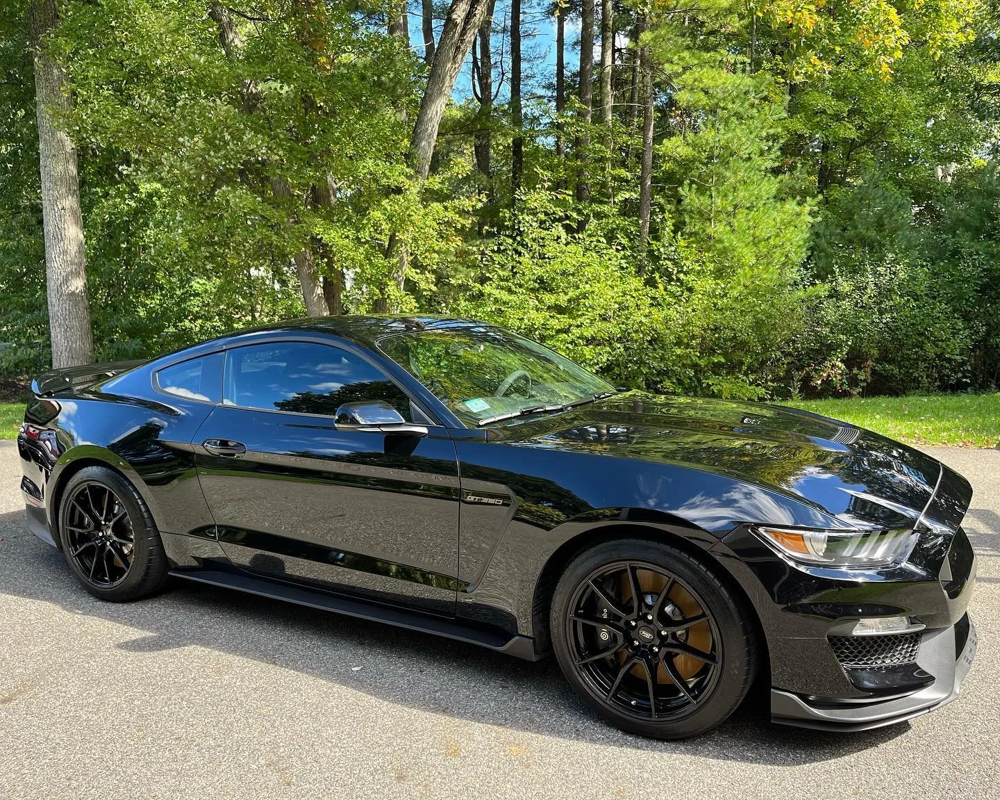 Summer throwback☀️

This Shelby GT350 received:
Interior Detail✅
Hand Wash &amp; Sealant✅
Engine Bay Detail✅
Gtechniq Wheel Armour✅