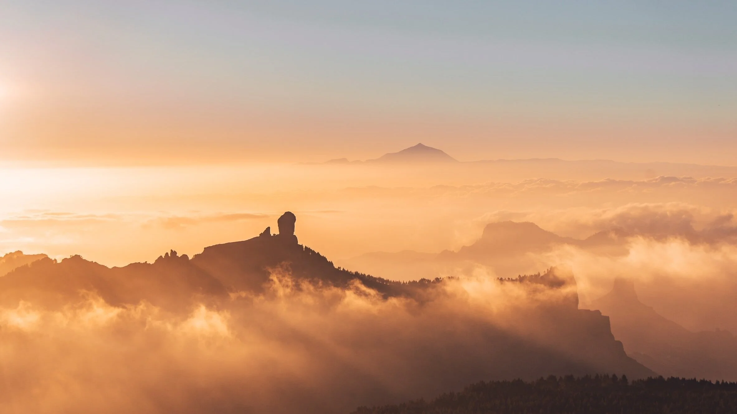 unsplash-image-v0MYkk84y9w.jpg
