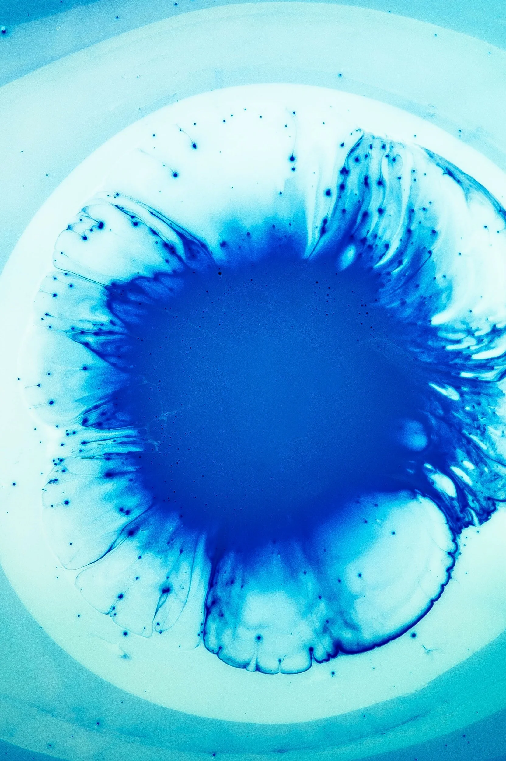 Plasma Science of Thermal, Atmospheric Pressure discharges