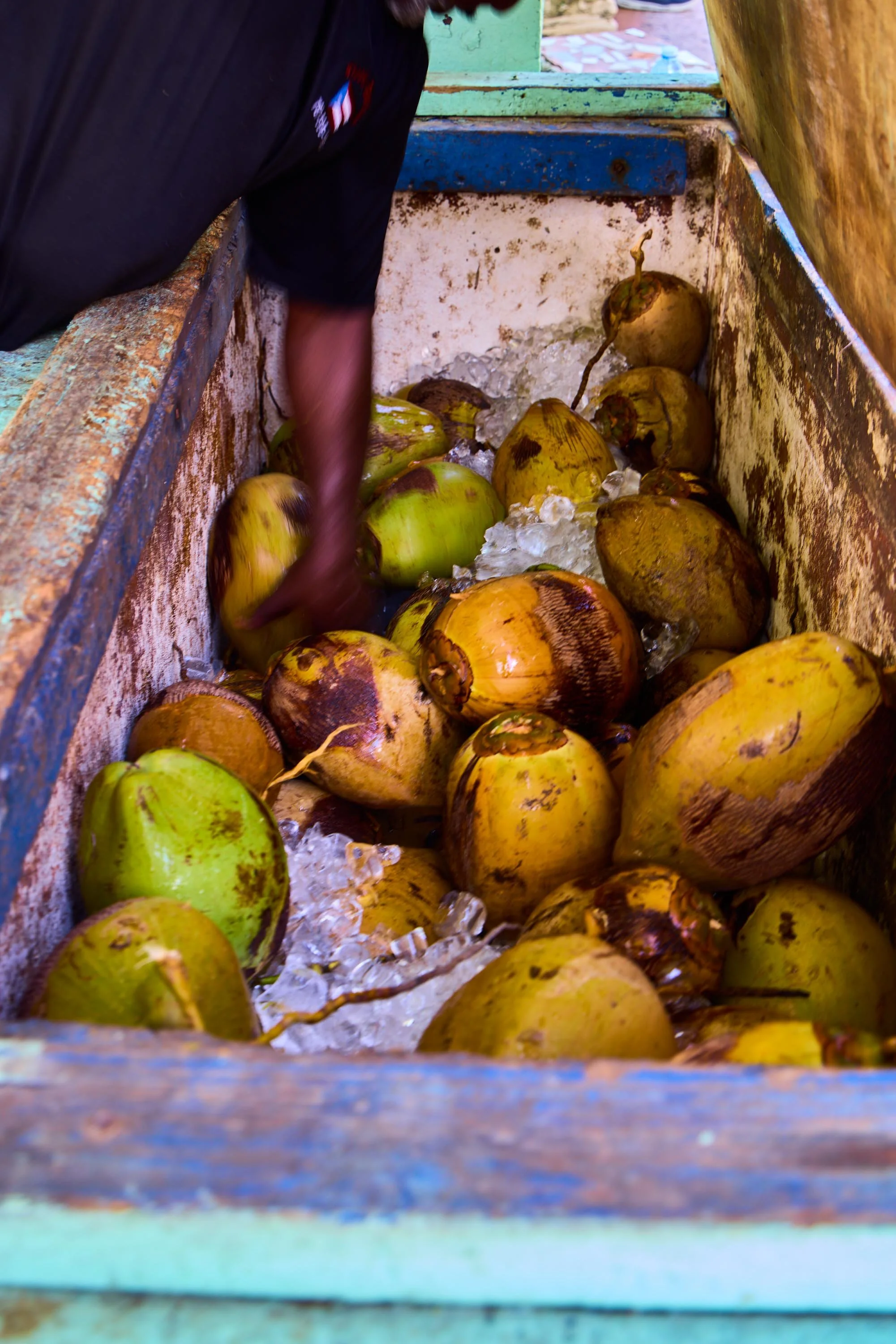 Close-up view of coconuts in a rusty, weathered container or cart.