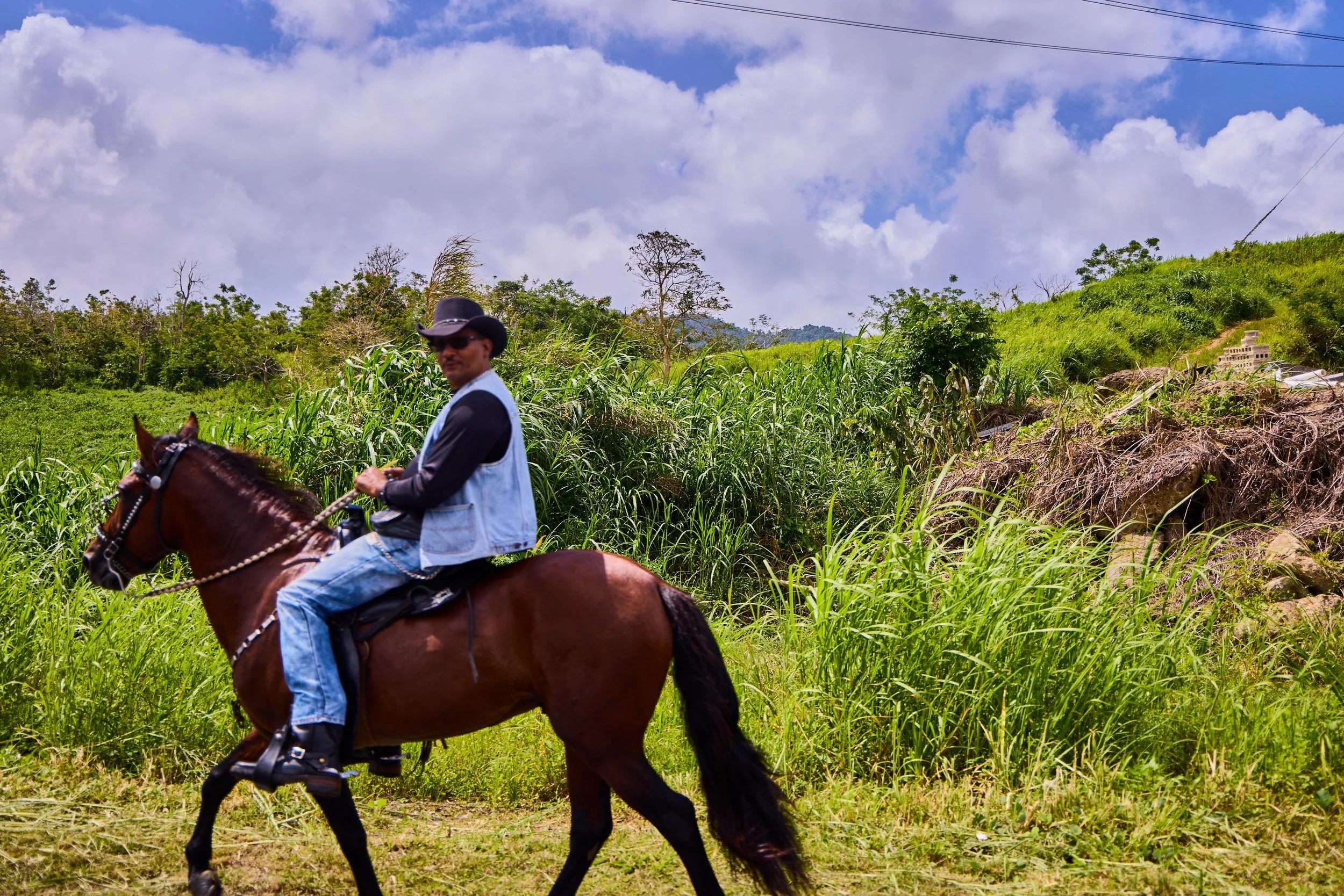 Man wearing a cowboy hat riding a brown horse through a lush green field with tall grass, trees, and a partly cloudy sky in the background.